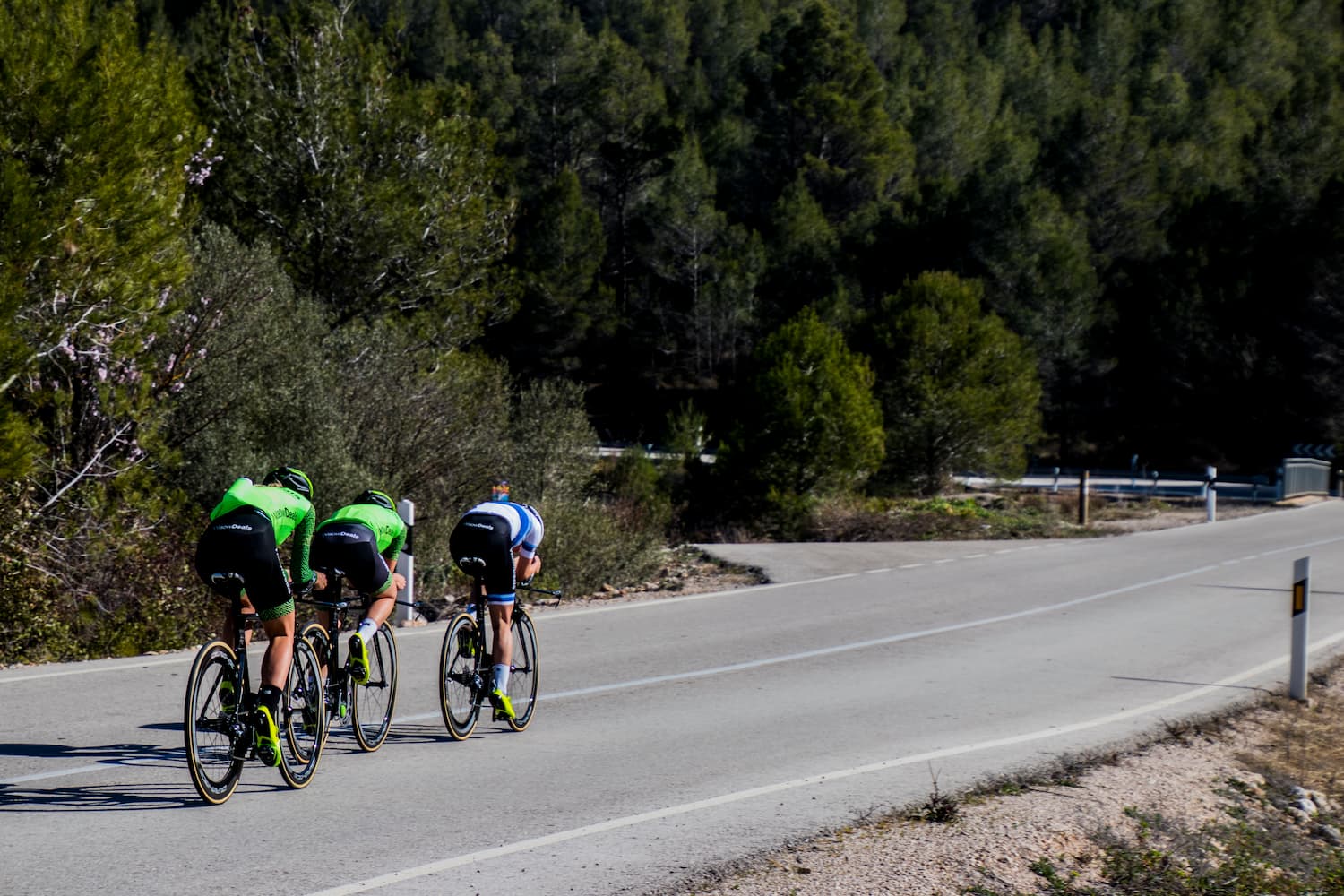 Mountain-biking-oliva-guia-profesional-Valencia