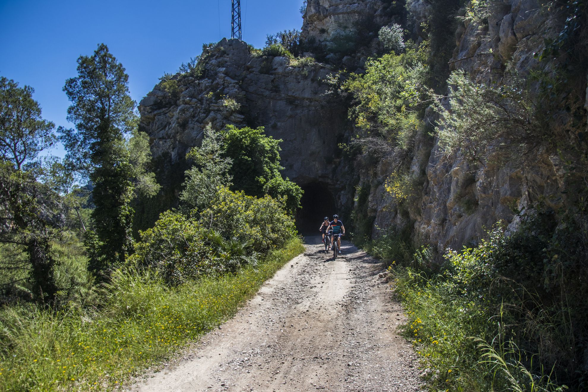 Servicio de alquiler de bicicletas en Oliva - Paseos por la costa